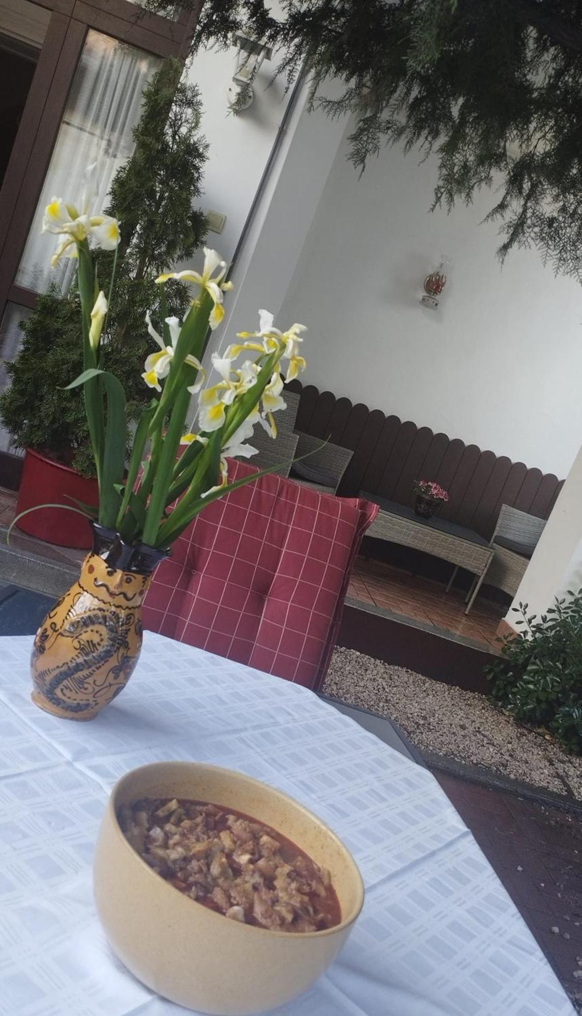 Hajdúszoboszló Erzsebet Vendeghaz Es Apartman מראה חיצוני תמונה